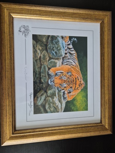 Stephen gayford ltd framed - stephen,
