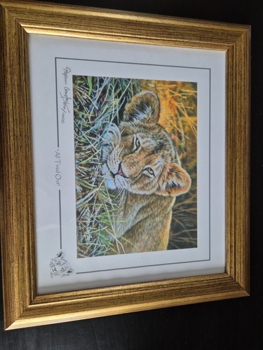 Stephen gayford wild about art - gayford,
