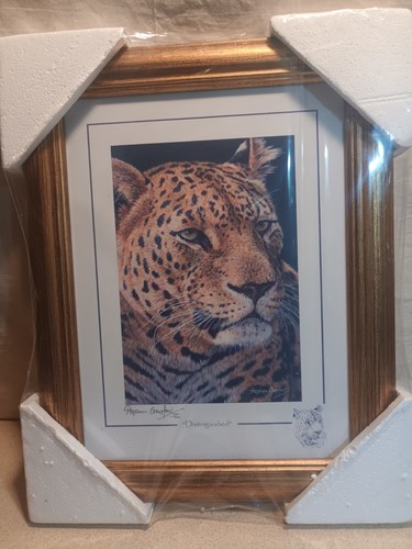 Stephen gayford print - stephen,