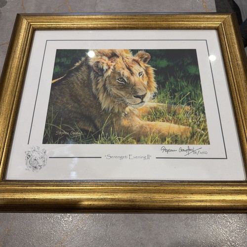 Stephen gayford serengeti - gayford,