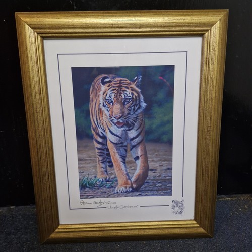 Stephen gayford jungle - gayford, "jungle