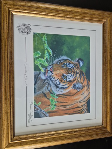 Stephen gayford wild about - gayford, art