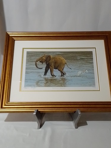 Stephen gayford print - stephen, a