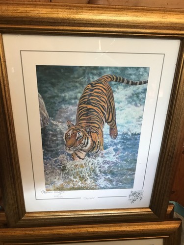 Stephen gayford signed - stephen,