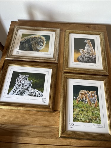 Stephen gayford framed - stephen,
