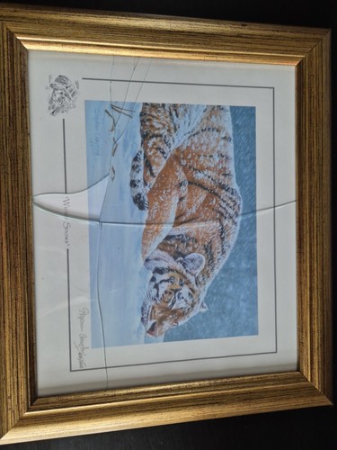 Stephen gayford winter snows - winter,