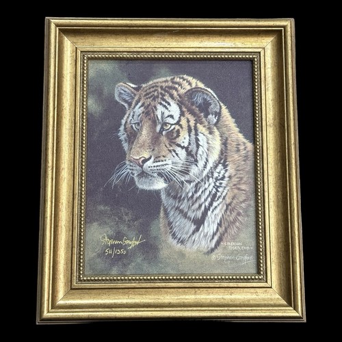 Stephen gayford siberian - stephen,