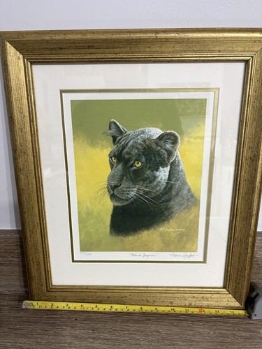 Stephen gayford black jaguar - gayford,