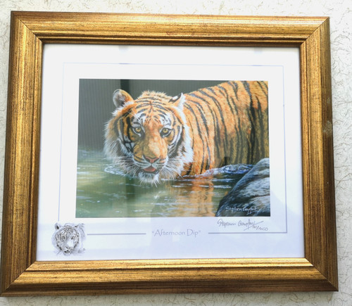 Stephen gayford ltd framed - stephen,