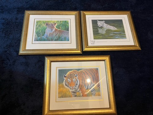 Stephen gayford framed - 3, x