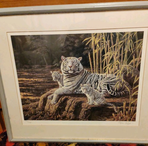 Framed print siberian - print,