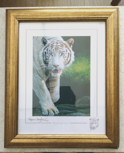 Stephen gayford ltd framed - gayford, ed