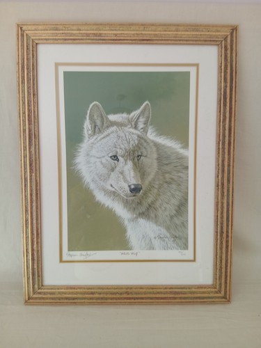 Stephen gayford white wolf - white,