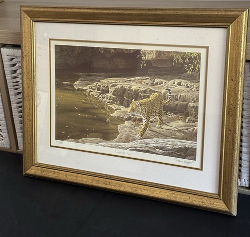 Stephen gayford leopard - stephen,