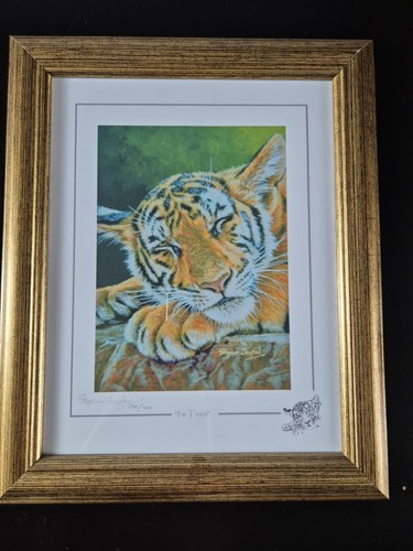 Stephen gayford wild about art - stephen,