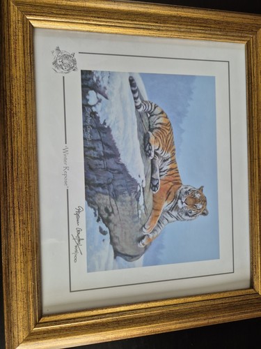 Stephen gayford wild - stephen,