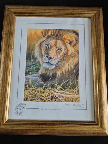 Stephen gayford wild about - wild, art