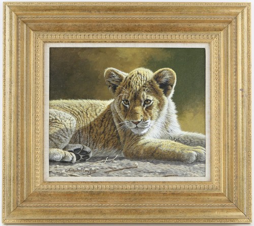 Stephen gayford lady in - stephen,