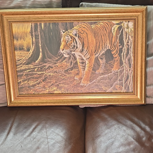 Banyan tiger special - banyan, edition