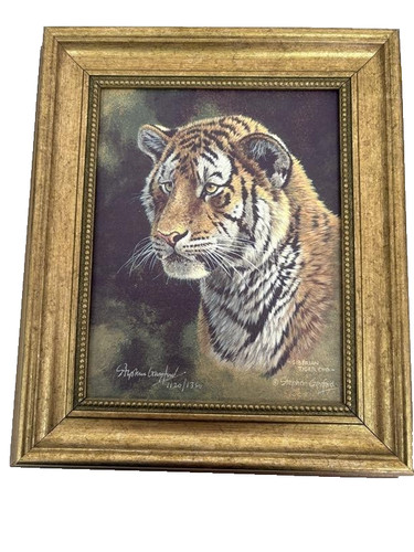 Stephen gayford siberian tiger - stephen,
