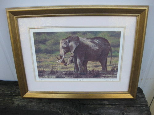 Stephen gayford limited - gayford,