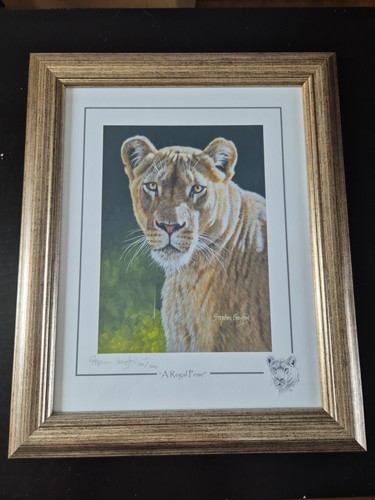 Stephen gayford wild - about, art