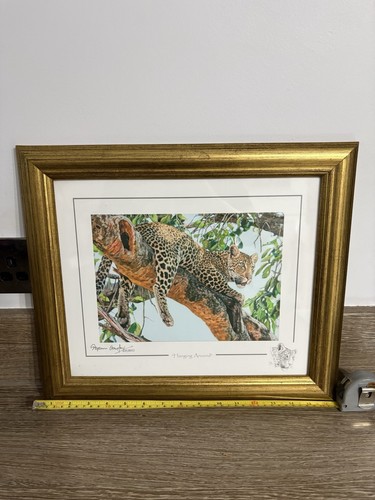 Stephen gayford hanging - stephen,