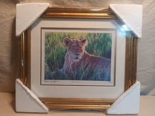 Stephen gayford print - stephen,