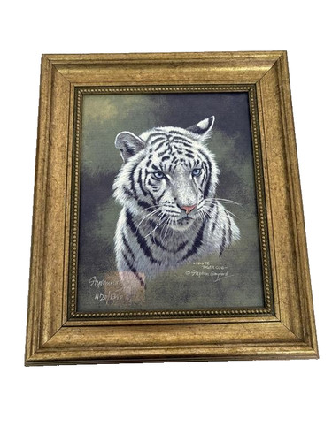 White tiger cub stephen - by,