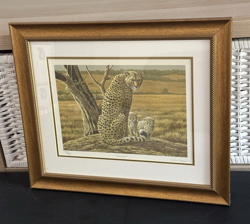 Stephen gayford watchful - stephen, “watchful”