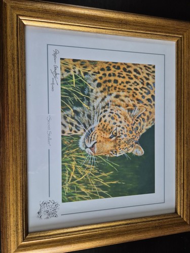 Stephen gayford wild about - wild,