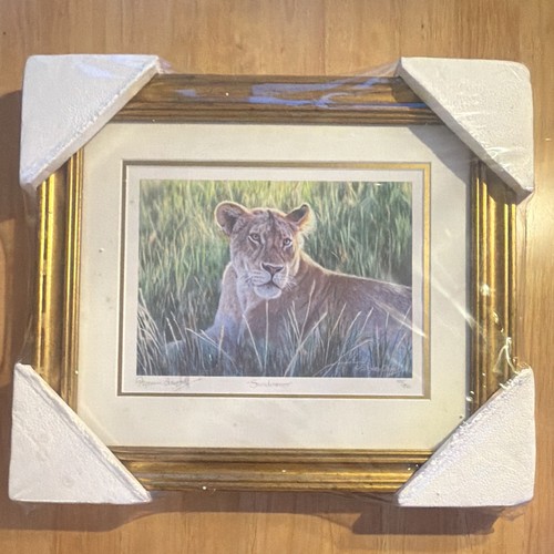 Stephen gayford sundowner - gayford,