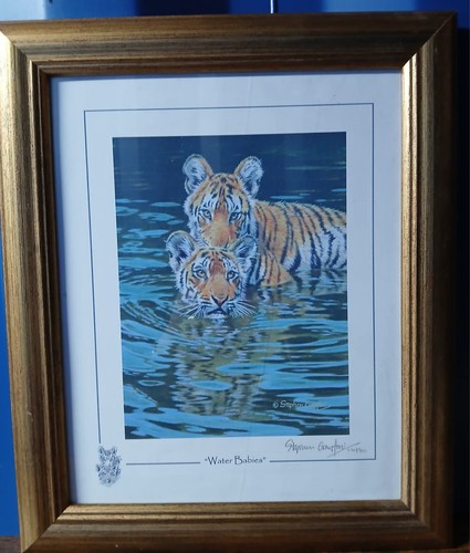 Stephen gayford water - stephen, babies