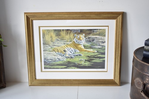 Framed tiger print stephen - print,