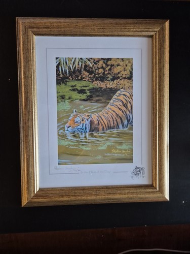 Stephen gayford wild - stephen,