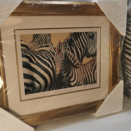 2007 stephen gayford - gayford, zebra
