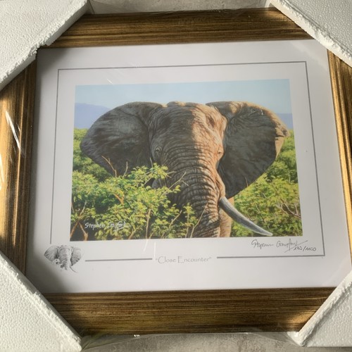 Stephen gayford elephant - stephen, ltd