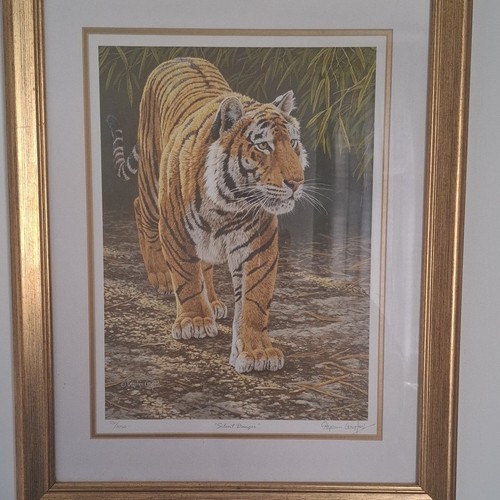 Limited edition tiger - limited, prints