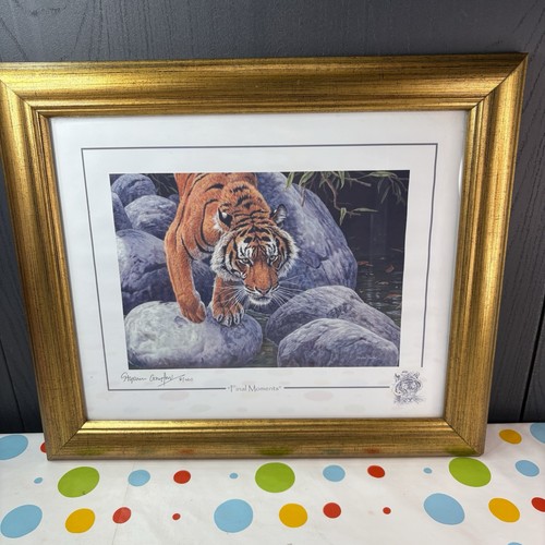 Stephen gayford signed - stephen, tiger