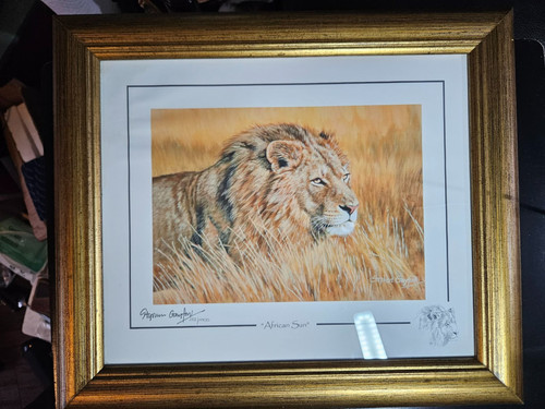 Stephen gayford african sun - stephen,