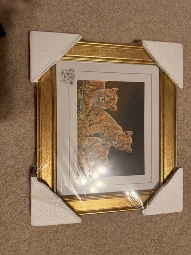 Stephen gayford wildlife art - gayford,