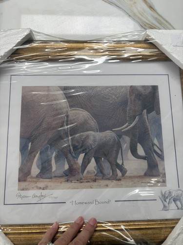 Homeward bound elephants - elephants, by