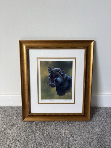 Stephen gayford black - black, jaguar