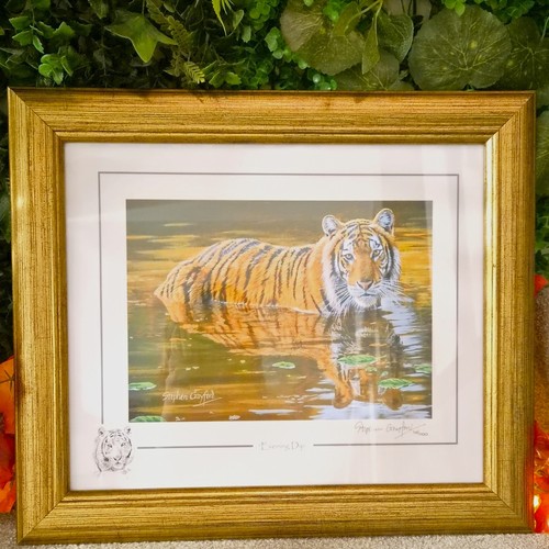 Tiger signed ltd giclée - signed,