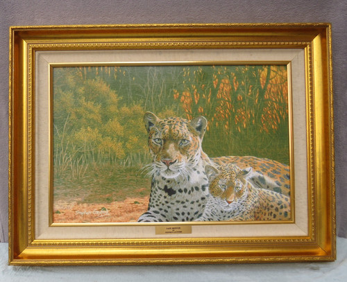 Large stephen gayford - large, framed