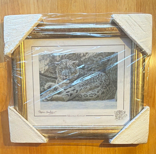 Stephen gayford mountain - stephen,