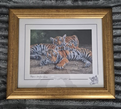 Stephen gayford signed - 7,