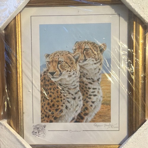 Stephen gayford brothers - gayford,