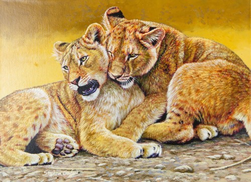 Stephen gayford playtime - gayford,, 'playtime'