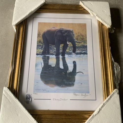 Stephen gayford elephant ltd - elephant,